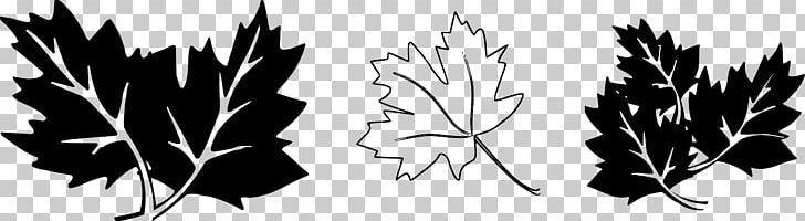 Leaf PNG, Clipart, Acorn, Black And White, Branch, Color, Commodity Free PNG Download