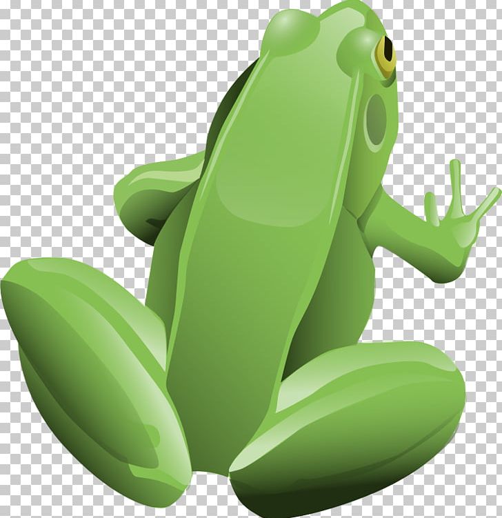 Frog PNG, Clipart, Amphibian, Animals, Animation, Download, Drawing Free PNG Download