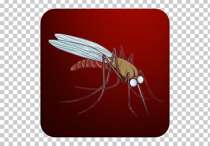 Mosquito Sonic The Hedgehog Fly Birdie Fly Android PNG, Clipart, Android, App, Arthropod, Biter, Blackberry Free PNG Download