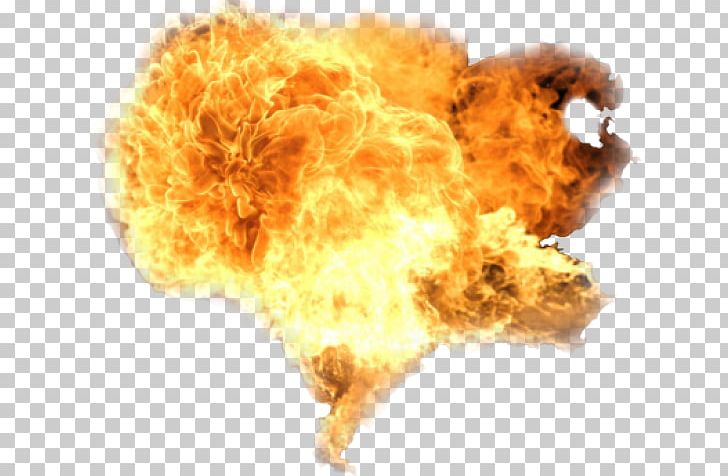 Shinji Ikari Fire Explosion Light PNG, Clipart, Animation, Computer Software, Explosion, Feu, Fire Free PNG Download