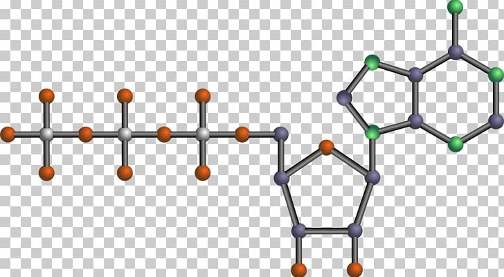 Adenosine Triphosphate Chemistry Nucleotide PNG, Clipart, Adenosine, Adenosine Triphosphate, Angle, Area, Body Jewelry Free PNG Download