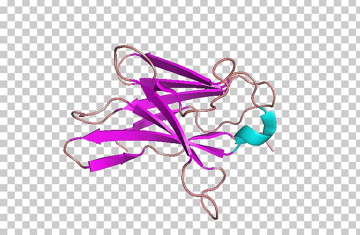 CD8 T Cell Cluster Of Differentiation Receptor PNG, Clipart, Body Jewelry, Cd8, Cd38, Cell, Cluster Of Differentiation Free PNG Download