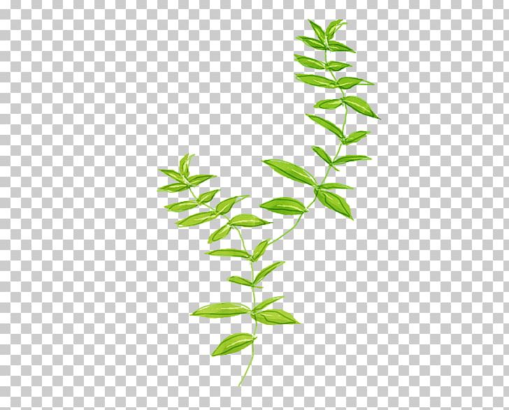 Green Pattern PNG, Clipart, Angle, Area, Art, Background Green, Branch Free PNG Download