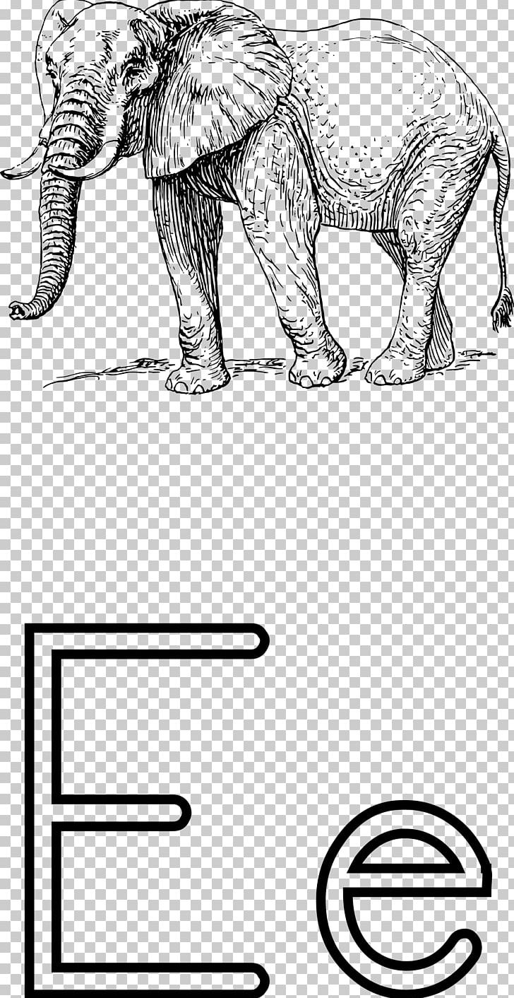 African Elephant Drawing PNG, Clipart, Angle, Animal, Animals, Area, Art Free PNG Download