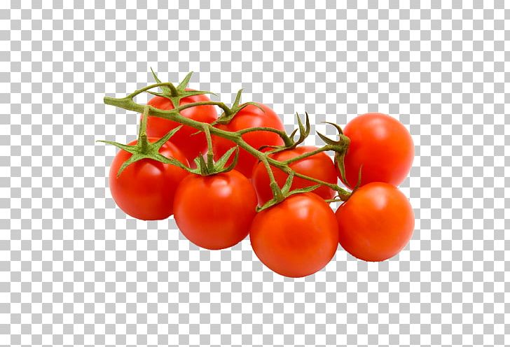 Cherry Tomato Bruschetta Fruit Variety Food PNG, Clipart, Bell Pepper, Bruschetta, Bush Tomato, Cherry, Cherry Tomato Free PNG Download