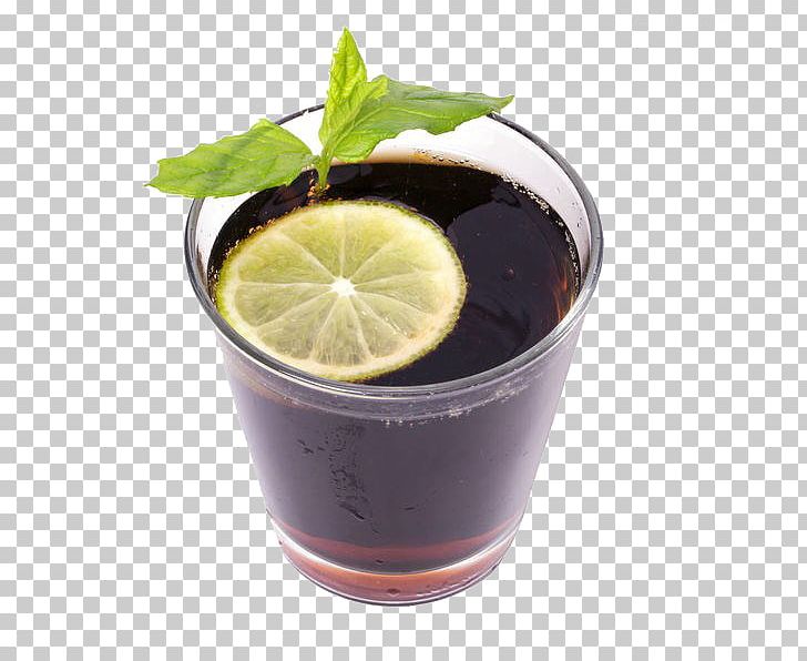 Tea Cocktail Garnish Wine PNG, Clipart, Bar, Citrus, Close, Closeup, Cocktail Free PNG Download