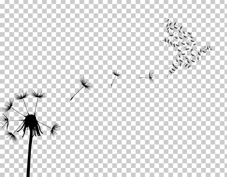 Bird Common Dandelion Flock PNG, Clipart, Angle, Animals, Area, Bird, Black Free PNG Download