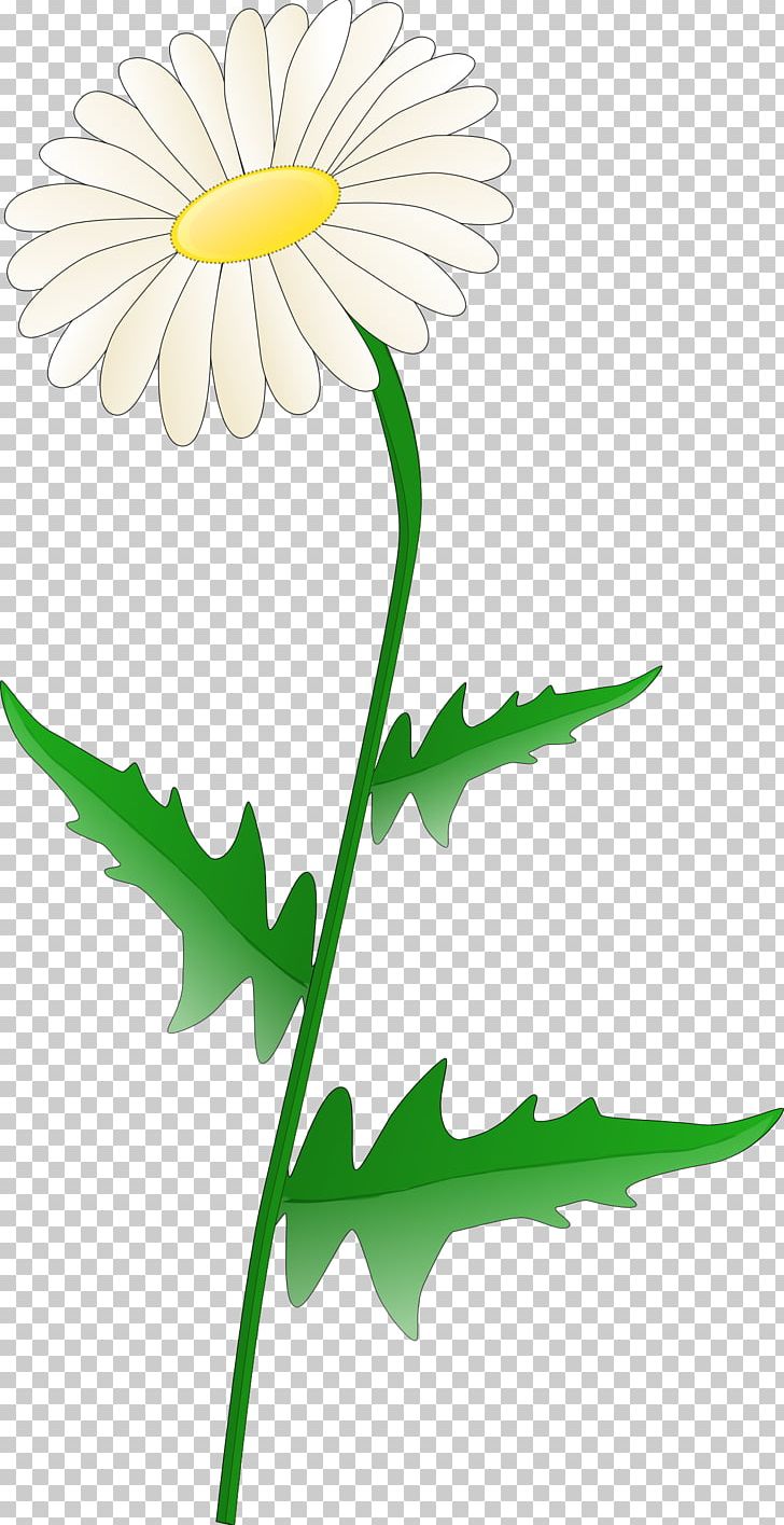Desktop Common Daisy PNG, Clipart, Artwork, Chamomile, Chrysanths, Common Daisy, Cut Flowers Free PNG Download