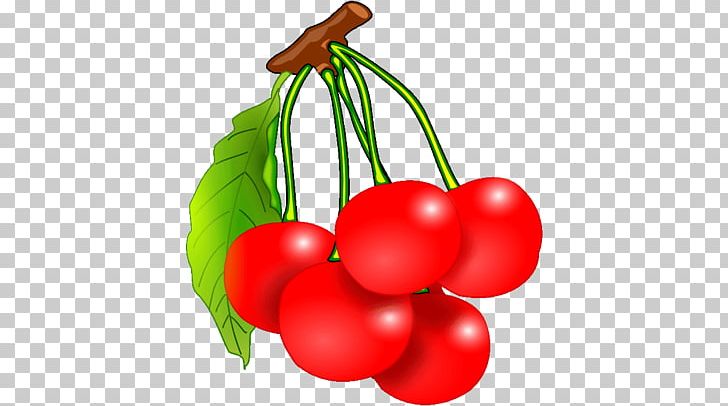 Fruit Food Cherry Vegetable PNG, Clipart, Auglis, Australian Desert Raisin, Berry, Bush Tomato, Cherry Free PNG Download