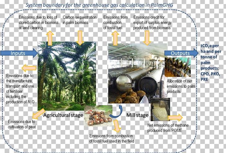 Greenhouse Gas Roundtable On Sustainable Palm Oil Sustainability PNG, Clipart, African Oil Palm, Biogas, Biomass, Biorefinery, Chin Crops Free PNG Download