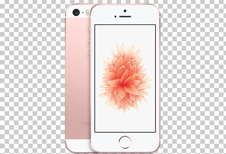 IPhone SE IPhone 5s Telephone PNG, Clipart, Apple, Communication Device, Electronic Device, Flower, Fruit Nut Free PNG Download