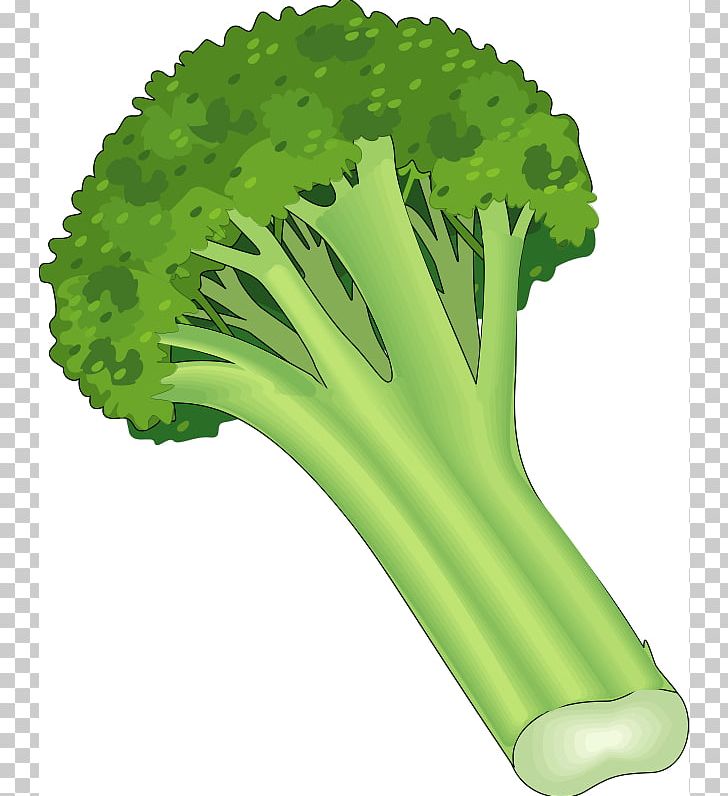 Leaf Vegetable Carrot Fruit PNG, Clipart, Asparagus, Broccoli, Cabbage, Carrot, Celery Free PNG Download