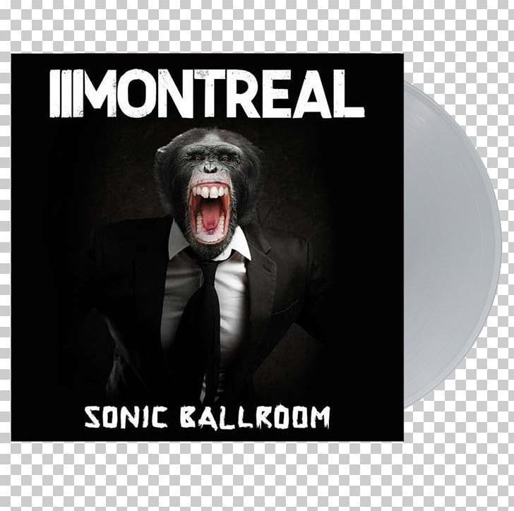 Montreal Sonic Ballroom Auf Der Faulen Haut Tag Zur Nacht Album PNG, Clipart, Album, Bonus, Brand, Concert, Geniuscom Incorporated Free PNG Download