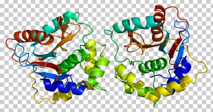 Ubiquitin Carboxy-terminal Hydrolase L1 Protein Deubiquitinating Enzyme PNG, Clipart, Amino Acid, Art, Cell, Cterminus, Deubiquitinating Enzyme Free PNG Download