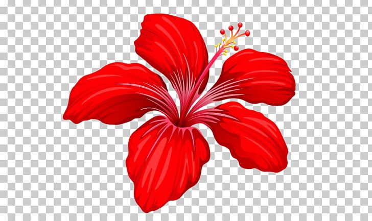 Flower PNG, Clipart, Art Museum, China Rose, Chinese Hibiscus, Cut Flowers, Depositphotos Free PNG Download