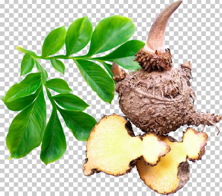 Konjac Dietary Fiber Glucomannan Japanese Cuisine Organic Food PNG, Clipart, Bulb, Corm, Dietary Fiber, Elephant Foot Yam, Flour Free PNG Download