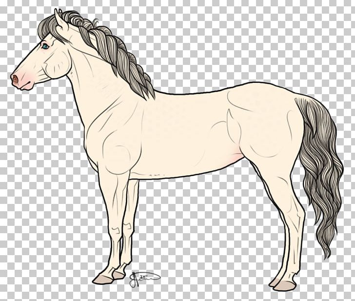 Mane Mustang Stallion Foal Pony PNG, Clipart, Animal Figure, Arabian Horse, Artwork, Bridle, Buckskin Free PNG Download