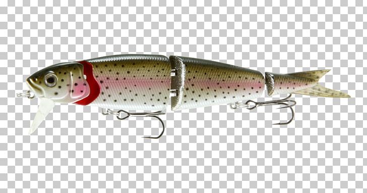 Sardine Spoon Lure Plug Fishing Baits & Lures Rainbow Trout PNG, Clipart, Bait, Bony Fish, Common Rudd, Family, Fish Free PNG Download