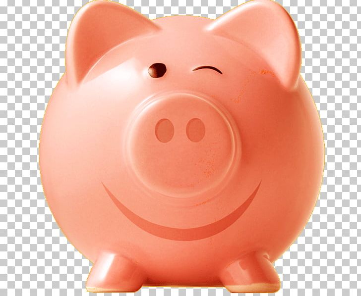 Small Business Piggy Bank Tax Domestic Pig PNG, Clipart, Bank, Business, Camas, Domestic Pig, Fact Free PNG Download
