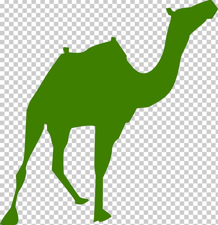 Egyptian Pyramids Camel PNG, Clipart, Animals, Arabian Camel, Camel, Camel Like Mammal, Desert Free PNG Download