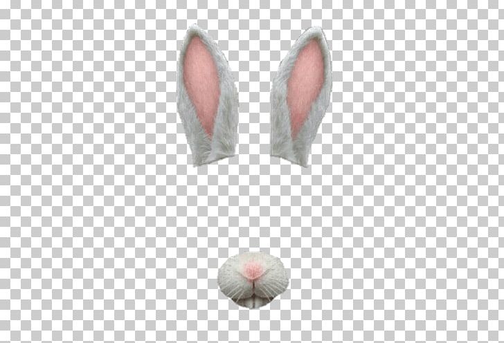 Snapchat Filter Bunny Simple PNG, Clipart, Icons Logos Emojis, Snapchat Filters Free PNG Download