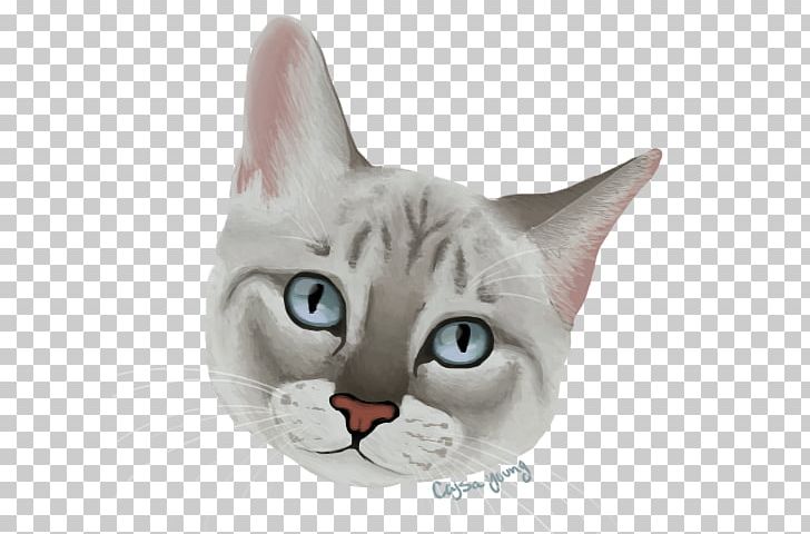 Whiskers American Wirehair Domestic Short-haired Cat Asia Snout PNG, Clipart, American Wirehair, Asia, Asian, Asian People, Carnivoran Free PNG Download
