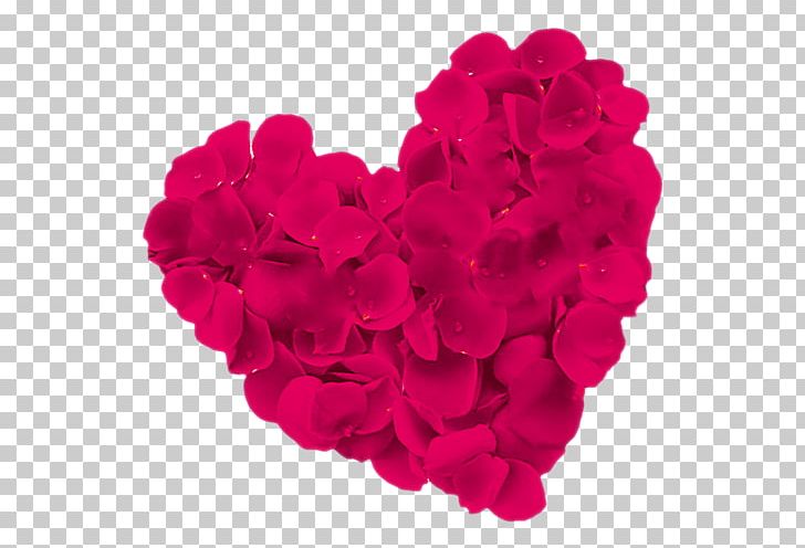 Beach Rose Heart Flower PNG, Clipart, Creative, Cut Flowers, Element, Euclidean Vector, Flowering Plant Free PNG Download