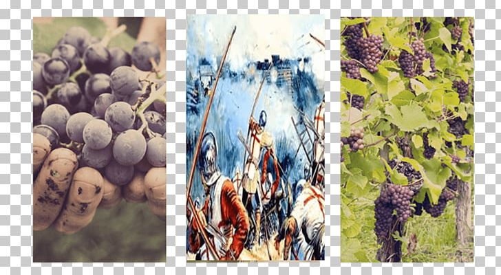 Grape Successful Berry Growing: How To Plant PNG, Clipart, Berry, Food, Fruit, Fruit Nut, Grape Free PNG Download