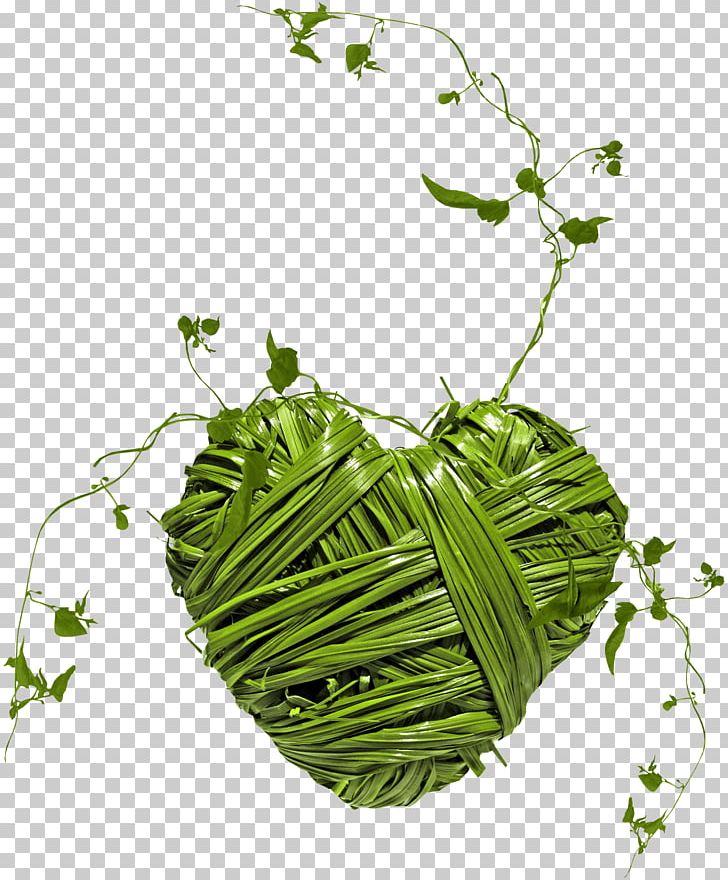 Leaf Vegetable Leaf Others PNG, Clipart, Animation, Blog, Clip Art, Depositfiles, Desktop Wallpaper Free PNG Download
