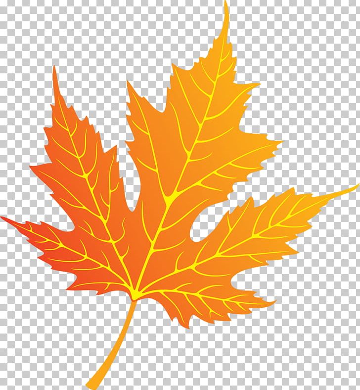 Leaf Vecteur PNG, Clipart, Art, Autumn, Autumn Leaf Color, Branch, Flowering Plant Free PNG Download