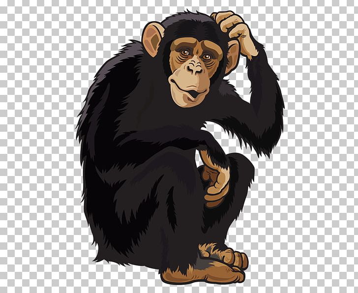 Orangutan Monkey PNG, Clipart, Animals, Bear, Carnivoran, Cartoon, Common Chimpanzee Free PNG Download