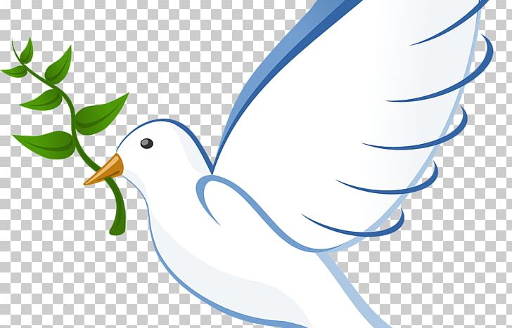Pigeons And Doves Free Content Graphics Doves As Symbols PNG, Clipart ...