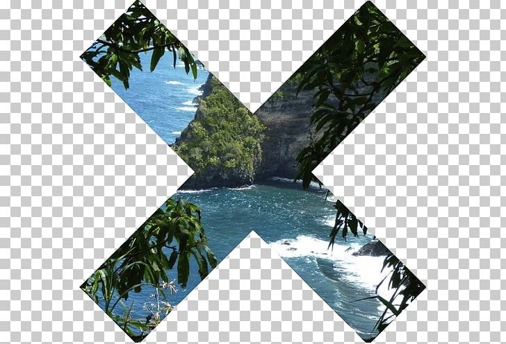 Tropics Photography The Xx Tropical Rainforest PNG, Clipart, Desktop Wallpaper, Frangipani, Information, Miscellaneous, Nature Free PNG Download