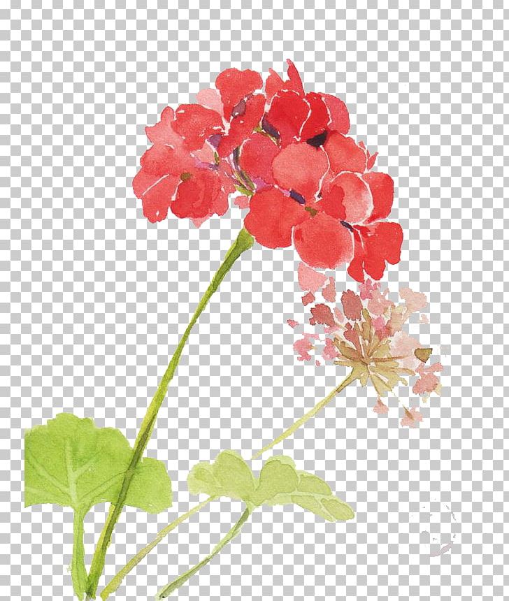 Watercolor: Flowers Watercolor Painting PNG, Clipart, Annual Plant, Art, Cartoon, Color, Download Free PNG Download