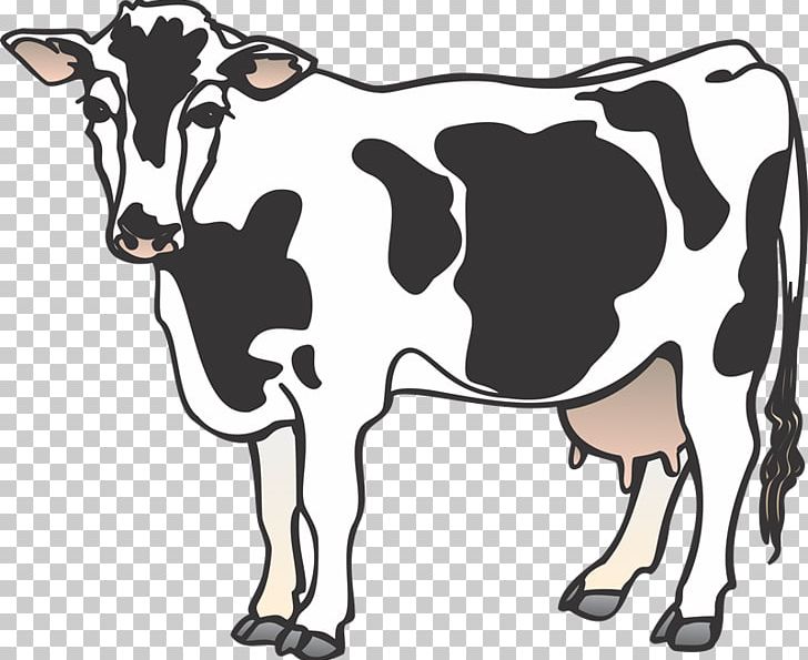 Cattle PNG, Clipart, Blog, Bull, Calf, Cattle, Cattle Like Mammal Free PNG Download