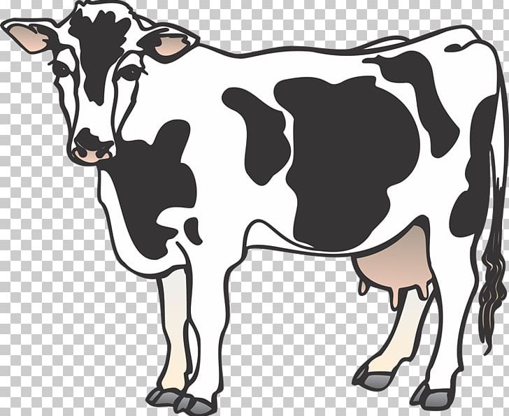 Cattle PNG, Clipart, Blog, Bull, Calf, Cattle, Cattle Like Mammal Free ...