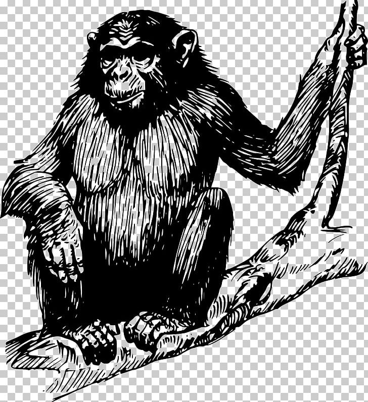 Primate Gorilla Chimpanzee Monkey PNG, Clipart, Animals, Ape, Art, Big Cats, Black And White Free PNG Download