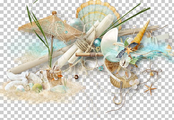 Sea Photography PNG, Clipart, Beach, Clip Art, Desktop Wallpaper, Information, Nature Free PNG Download