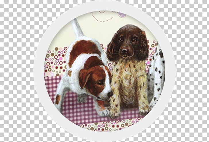 English Springer Spaniel Boykin Spaniel Puppy Welsh Springer Spaniel Dog Breed PNG, Clipart, Animals, Boykin Spaniel, Breed, Companion Dog, Crossbreed Free PNG Download