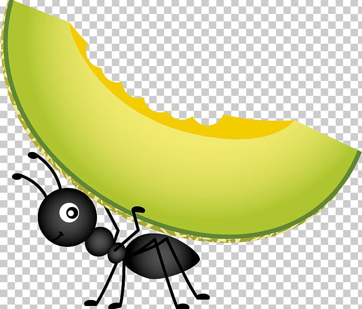 Food Picnic Stock Photography PNG, Clipart, Ant, Ant Cartoon, Ants, Ants Vector, Ant Vector Free PNG Download