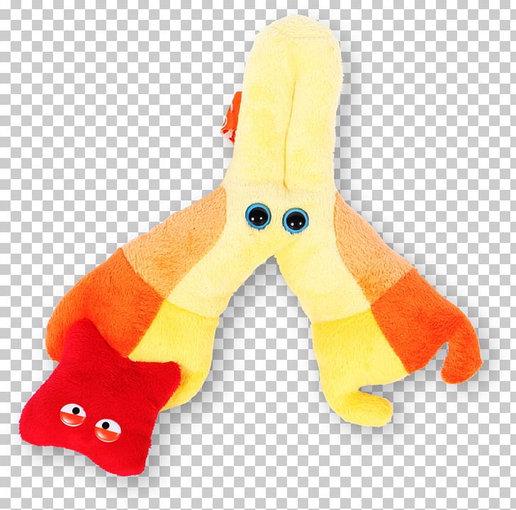 Questacon Stuffed Animals & Cuddly Toys GIANTmicrobes Microorganism PNG, Clipart, Amoeba, Amp, Antigen, Baby Toys, Bacteria Free PNG Download