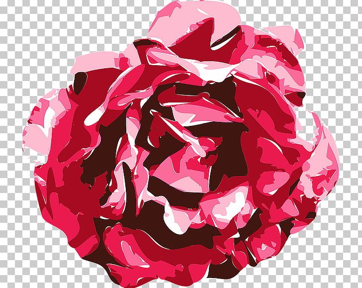 Portable Network Graphics Graphics Rose PNG, Clipart, Cut Flowers, Display Resolution, Drawing, Flower, Flowering Plant Free PNG Download