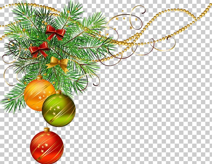 Christmas Pine PNG, Clipart, Branch, Christmas, Christmas Decoration, Christmas Ornament, Conifer Free PNG Download