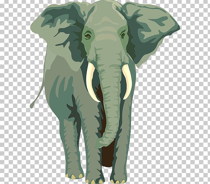Elephants African Elephant Asian Elephant Rope Mooring PNG, Clipart, African Elephant, Animal, Animals, Asian Elephant, Cattle Like Mammal Free PNG Download