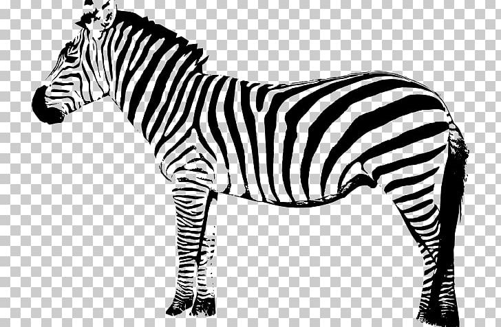 Zebra Art PNG, Clipart, Animal Figure, Art, Black And White, Horse Like Mammal, Line Free PNG Download