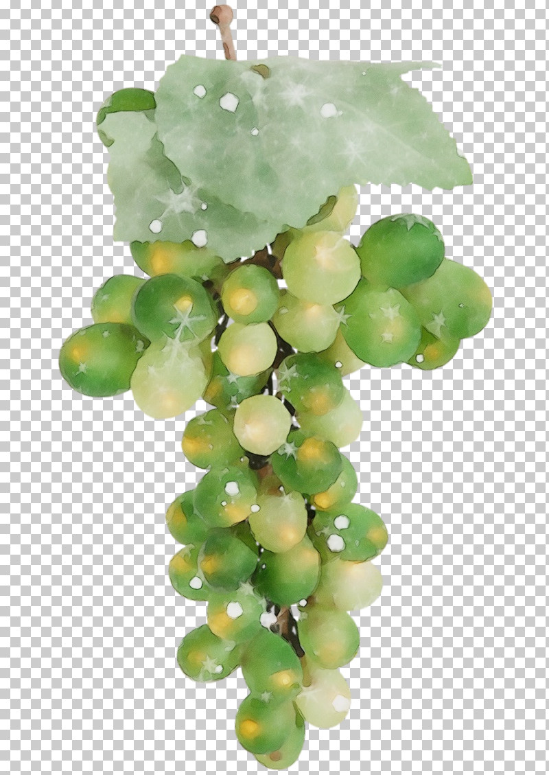 Seedless Fruit Sultana Grapevines Bead Fruit PNG, Clipart, Bead, Fruit, Grapevines, Paint, Seedless Fruit Free PNG Download