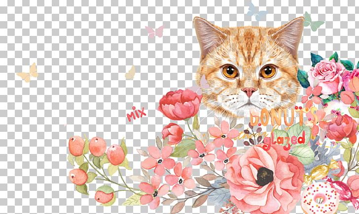 Kitten Cat Cuteness PNG, Clipart, Animal, Background, Carnivora, Carnivoran, Cat Like Mammal Free PNG Download