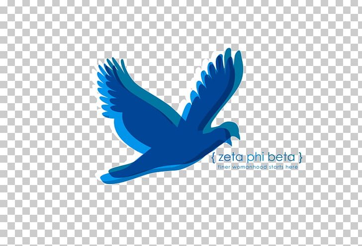 Bird Drawing PNG, Clipart, Animals, Beak, Bird, Birdwatching, Computer Icons Free PNG Download