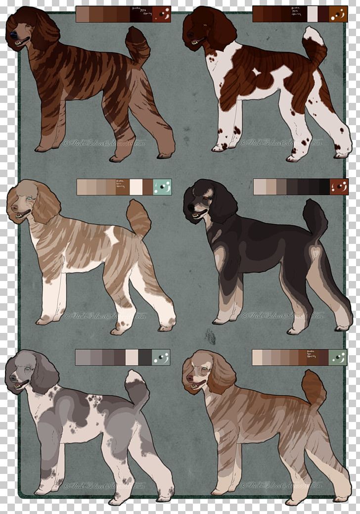 Dog Breed Sporting Group Crossbreed PNG, Clipart, Breed, Carnivoran, Crossbreed, Dog, Dog Breed Free PNG Download