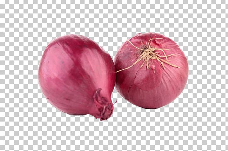Red Onion Shallot Stock Photography PNG, Clipart, Beetroot, Creative Background, Creative Logo Design, Food, Fram Free PNG Download